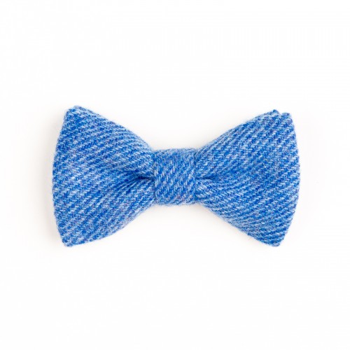 orwellcornflower blue